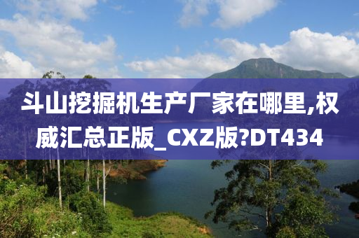 斗山挖掘机生产厂家在哪里,权威汇总正版_CXZ版?DT434