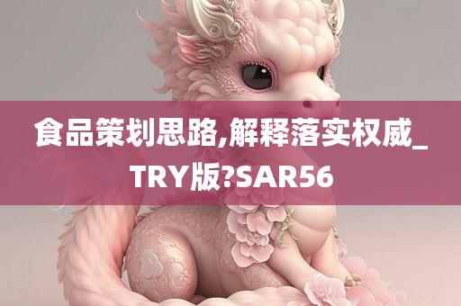 食品策划思路,解释落实权威_TRY版?SAR56