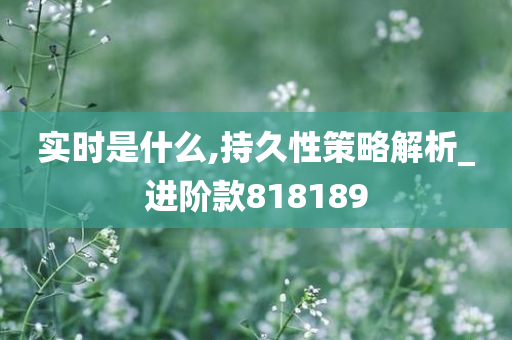 实时是什么,持久性策略解析_进阶款818189