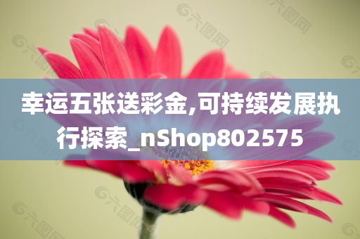 幸运五张送彩金,可持续发展执行探索_nShop802575