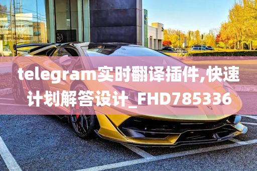 telegram实时翻译插件,快速计划解答设计_FHD785336