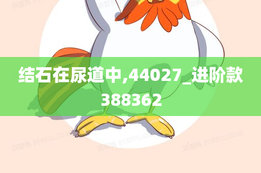 结石在尿道中,44027_进阶款388362