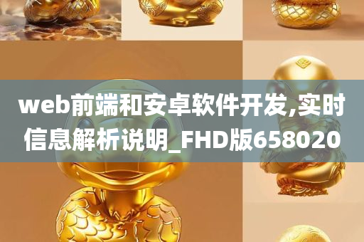 web前端和安卓软件开发,实时信息解析说明_FHD版658020