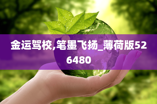 金运驾校,笔墨飞扬_薄荷版526480