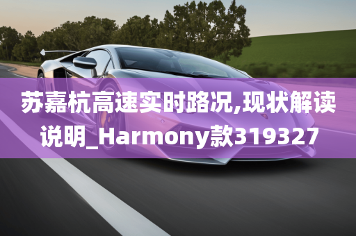 苏嘉杭高速实时路况,现状解读说明_Harmony款319327