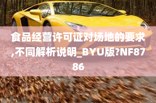 食品经营许可证对场地的要求,不同解析说明_BYU版?NF8786