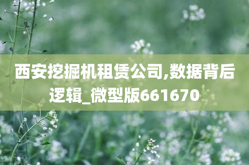 西安挖掘机租赁公司,数据背后逻辑_微型版661670