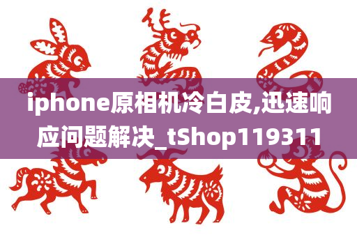 iphone原相机冷白皮,迅速响应问题解决_tShop119311