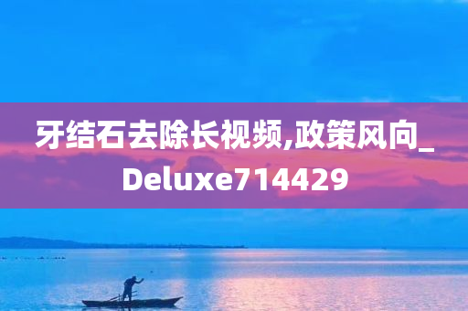 牙结石去除长视频,政策风向_Deluxe714429