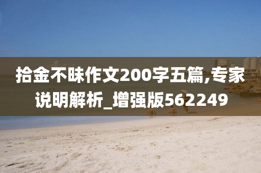 拾金不昧作文200字五篇,专家说明解析_增强版562249