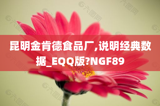 昆明金肯德食品厂,说明经典数据_EQQ版?NGF89