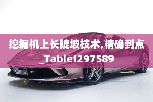 挖掘机上长陡坡枝术,精确到点_Tablet297589