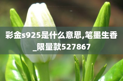 彩金s925是什么意思,笔墨生香_限量款527867