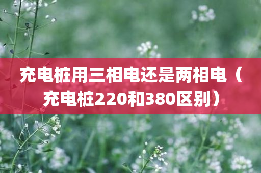 充电桩用三相电还是两相电（充电桩220和380区别）