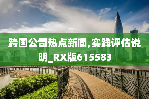 跨国公司热点新闻,实践评估说明_RX版615583