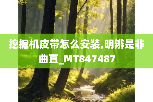 挖掘机皮带怎么安装,明辨是非曲直_MT847487