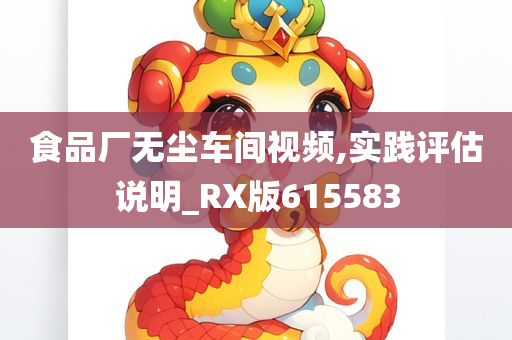 食品厂无尘车间视频,实践评估说明_RX版615583