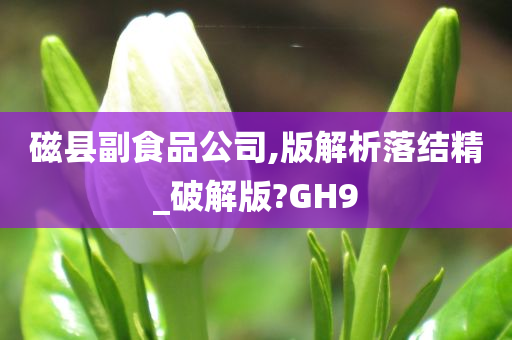 磁县副食品公司,版解析落结精_破解版?GH9