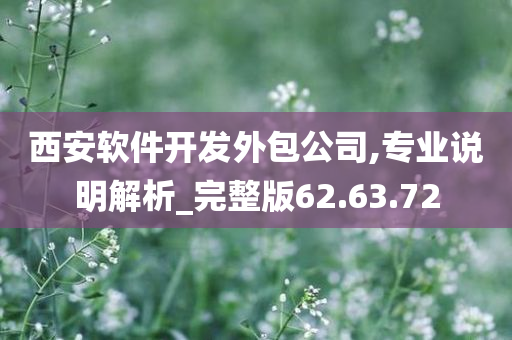 西安软件开发外包公司,专业说明解析_完整版62.63.72