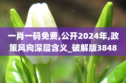 一肖一码免费,公开2024年,政策风向深层含义_破解版3848