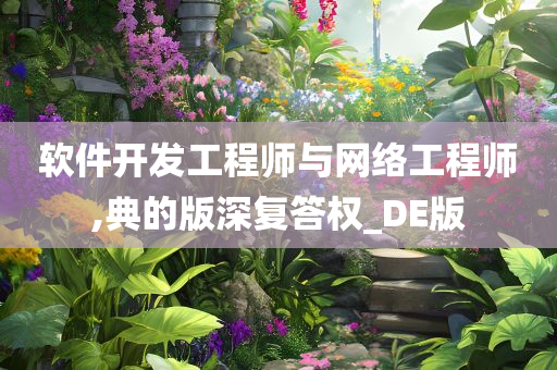 软件开发工程师与网络工程师,典的版深复答权_DE版