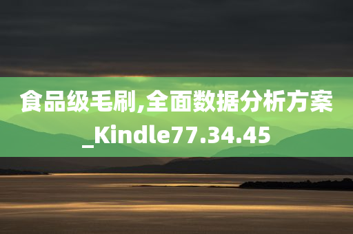 食品级毛刷,全面数据分析方案_Kindle77.34.45