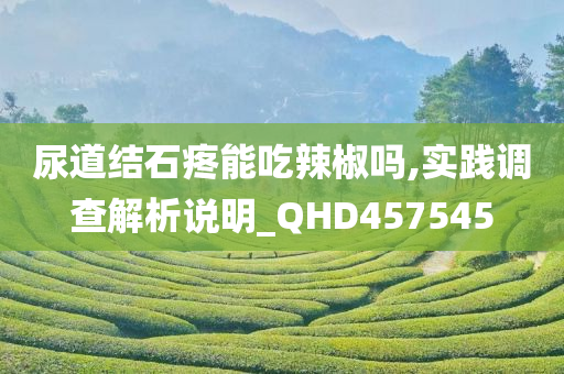 尿道结石疼能吃辣椒吗,实践调查解析说明_QHD457545