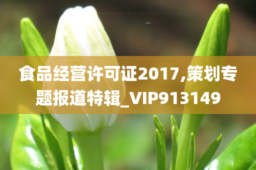 食品经营许可证2017,策划专题报道特辑_VIP913149