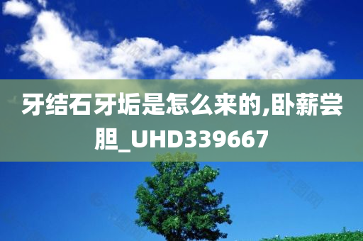 牙结石牙垢是怎么来的,卧薪尝胆_UHD339667