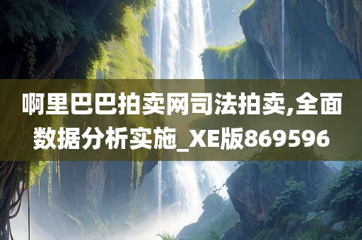 啊里巴巴拍卖网司法拍卖,全面数据分析实施_XE版869596