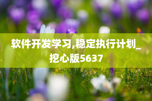 软件开发学习,稳定执行计划_挖心版5637