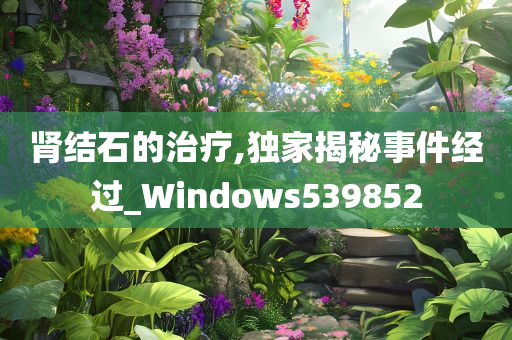 肾结石的治疗,独家揭秘事件经过_Windows539852