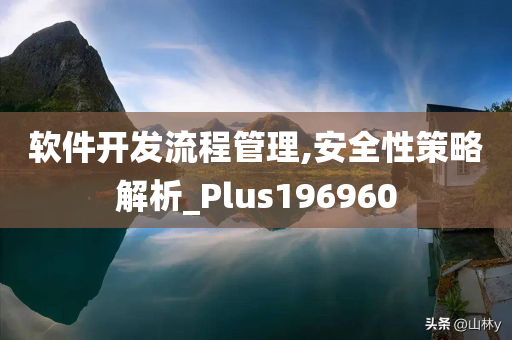 软件开发流程管理,安全性策略解析_Plus196960