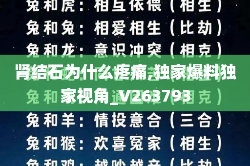 肾结石为什么疼痛,独家爆料独家视角_V263793