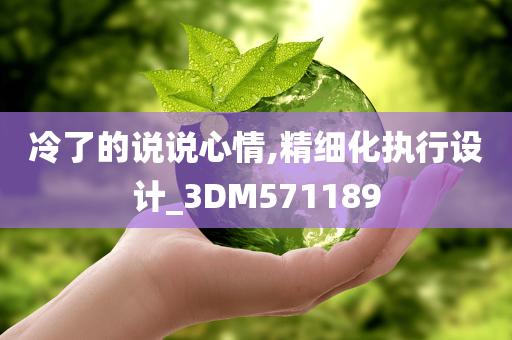 冷了的说说心情,精细化执行设计_3DM571189