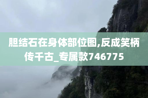 胆结石在身体部位图,反成笑柄传千古_专属款746775