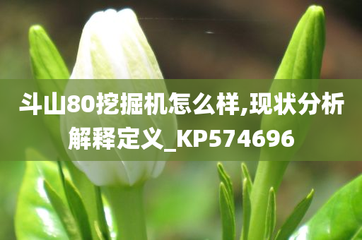 斗山80挖掘机怎么样,现状分析解释定义_KP574696