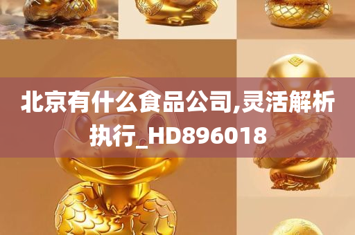 北京有什么食品公司,灵活解析执行_HD896018