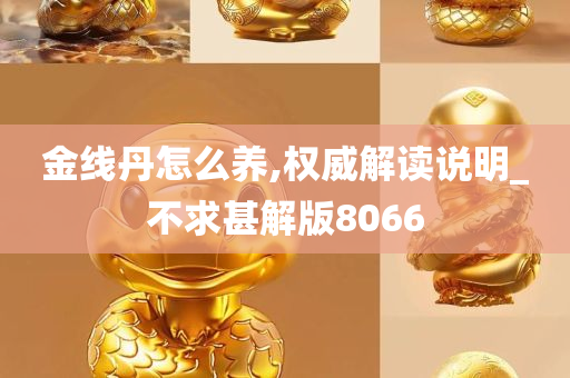 金线丹怎么养,权威解读说明_不求甚解版8066