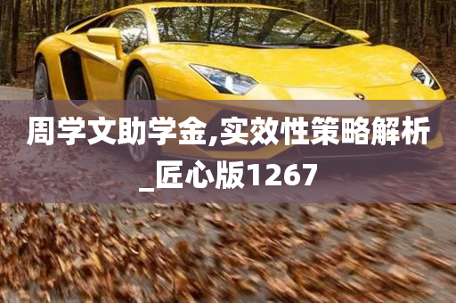 周学文助学金,实效性策略解析_匠心版1267