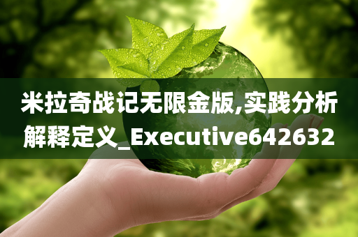 米拉奇战记无限金版,实践分析解释定义_Executive642632