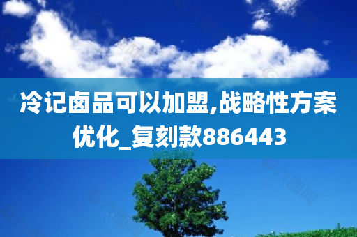 冷记卤品可以加盟,战略性方案优化_复刻款886443