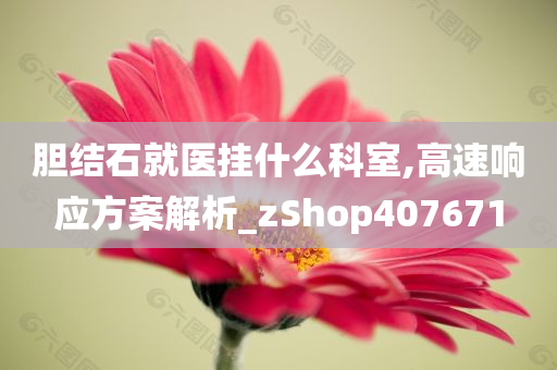 胆结石就医挂什么科室,高速响应方案解析_zShop407671