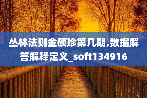 丛林法则金硕珍第几期,数据解答解释定义_soft134916