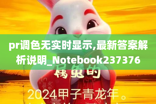 pr调色无实时显示,最新答案解析说明_Notebook237376