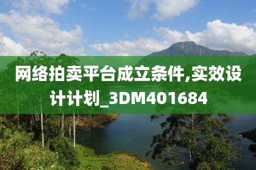 网络拍卖平台成立条件,实效设计计划_3DM401684