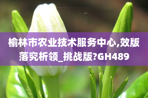 榆林市农业技术服务中心,效版落究析领_挑战版?GH489