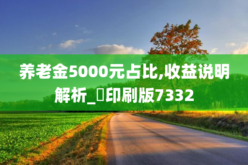 养老金5000元占比,收益说明解析_‌印刷版7332