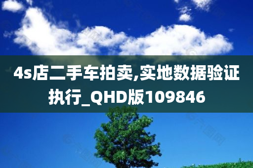 4s店二手车拍卖,实地数据验证执行_QHD版109846