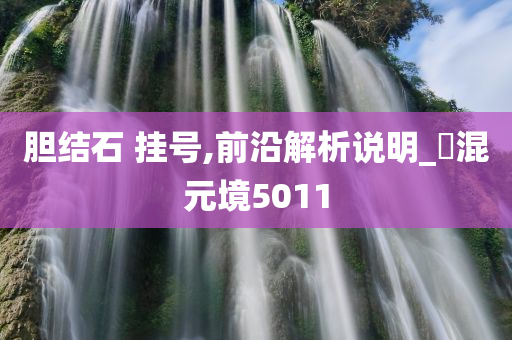 胆结石 挂号,前沿解析说明_‌混元境5011